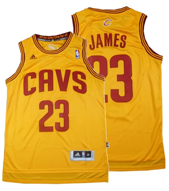 Lebron James Cleveland Cavaliers - Alternate
