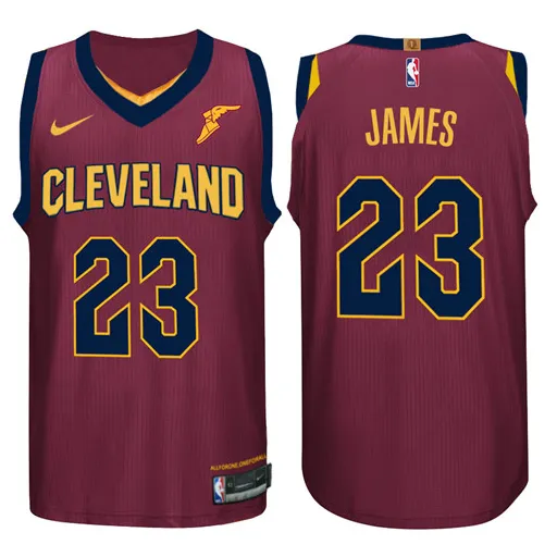 Lebron James Cleveland Cavaliers - Icon