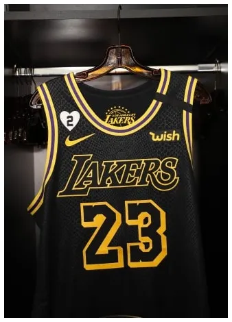 Lebron James Los Angeles Lakers Black Mamba