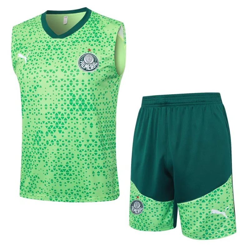Palmeiras Training Kit 2024