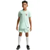 Maillot France Extérieur 2026 Junior Kit