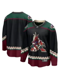 Arizona Coyotes - Home