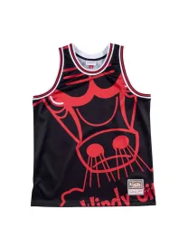 Chicago Bulls - Mitchell & Ness Big Face