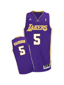 José Manuel Calderón Los Angeles Lakers