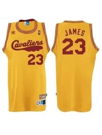 Lebron James Cleveland Cavaliers [retro]