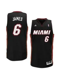 Lebron James Miami Heat