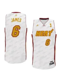 Lebron James Miami Heat [trophée]