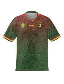 Maillot Cameroun Domicile 2024