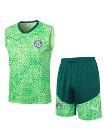 Palmeiras Training Kit 2024