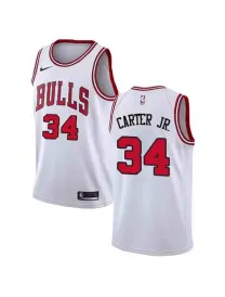 Wendell Carter Jr. Chicago Bulls - Association