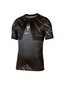 Maillot France Domicile Gardien 2026