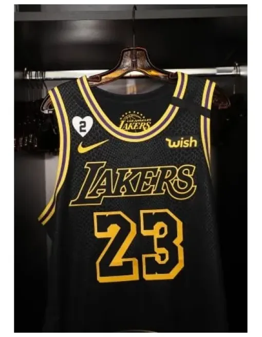Lebron James Los Angeles Lakers Black Mamba