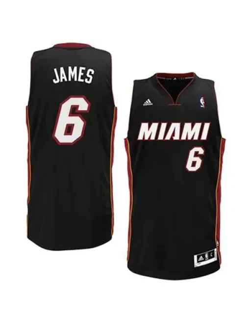 Lebron James Miami Heat
