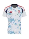 Maillot Costa Rica Extérieur 2024