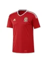 Maillot Pays De Galles Domicile Euro 2016