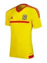 Maillot Pays De Galles Exterieur 2015/16