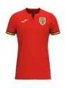 Maillot Roumanie Extérieur 2024