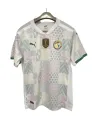 Maillot Sénégal Extérieur 2022
