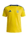 Maillot Ukraine Domicile 2024/25
