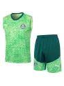 Palmeiras Training Kit 2024