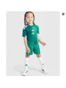 Maillot Irlande du Nord Enfant Domicile 2026/27